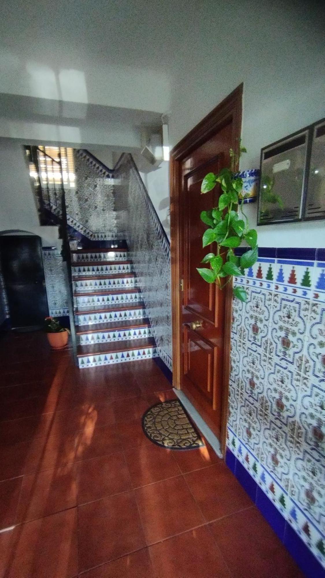Apartamento 1 Dormitorio Y Salon Con Sofa Cama Bien Comunicado Con El Centro Севілья Екстер'єр фото